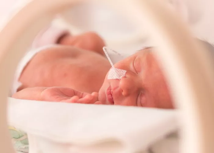 Premature baby lying in cot
