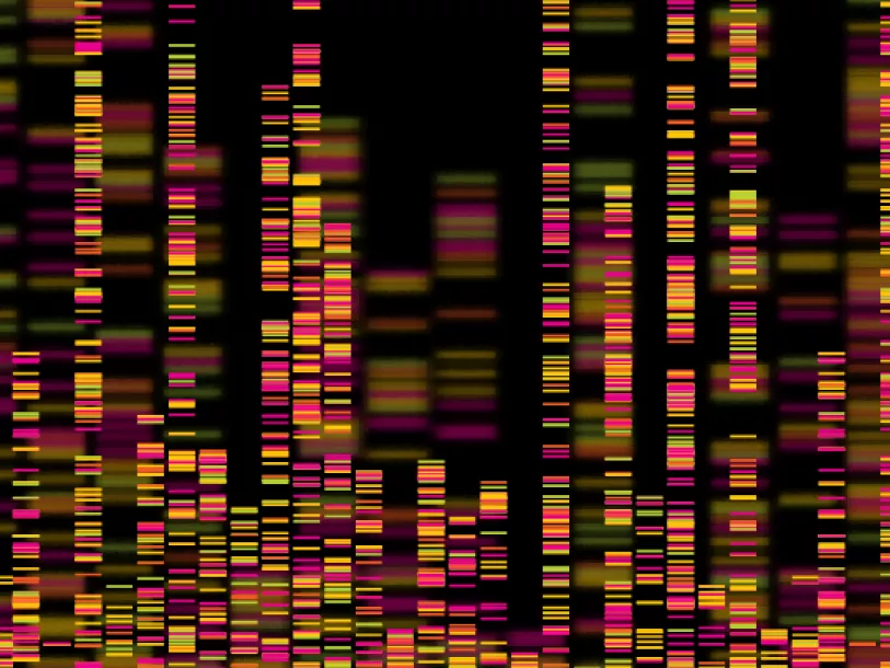 Blocks of colour on dark background - visualisation of genomics